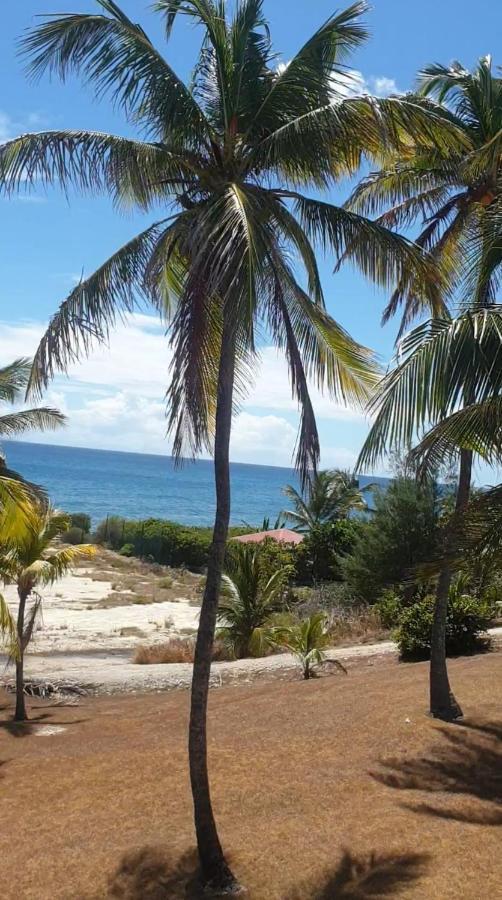 Mango Goyave Saint-Francois (Grande-Terre) Exterior photo